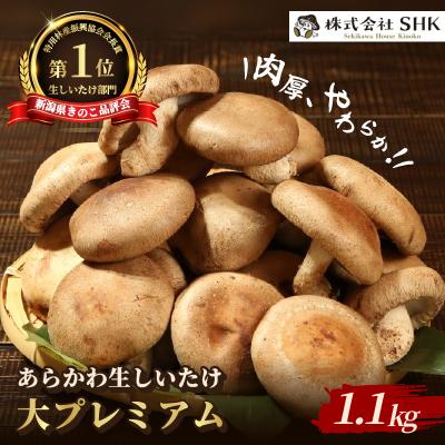 ふるさと納税 関川村 肉厚、やわらか!あらかわ生しいたけ大プレミアム