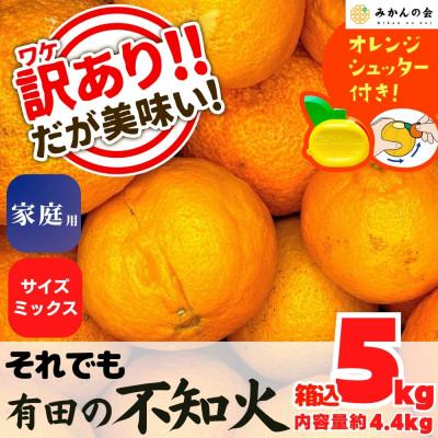 ふるさと納税 有田川町 不知火 (しらぬい) 訳あり それでも 箱込 5kg (内容量 4.4kg) サイズミックス
