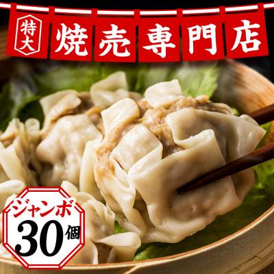 ふるさと納税 横須賀市 専門店の味 ジャンボ生焼売30個 中華 惣菜