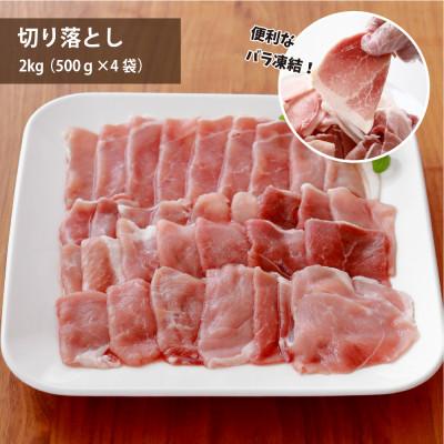 ふるさと納税 多古町 元気豚 切り落とし・挽き肉セット 4kg(切り落とし 2kg・挽肉 2kg)便利なバラ凍結&小分包装｜y-sf｜02