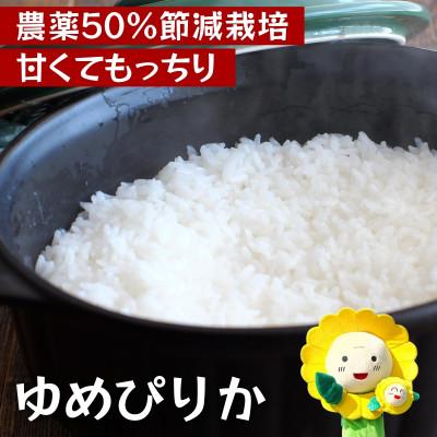 ふるさと納税 北竜町 [令和7年産]ゆめぴりか 5kg 無洗米 農薬50%節減栽培 北海道北竜町産