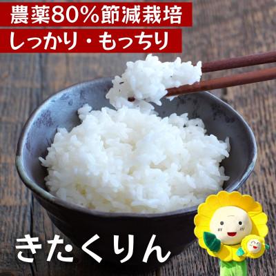 ふるさと納税 北竜町 [令和7年産]きたくりん 10kg 農薬80%節減栽培米 北海道北竜町産