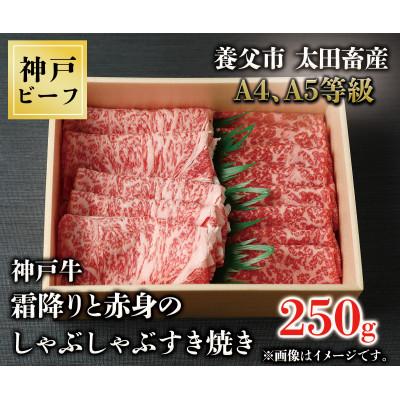 ふるさと納税 養父市 神戸牛 霜降りと赤身のしゃぶしゃぶすき焼き 250g