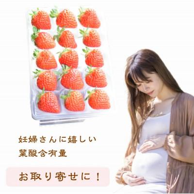 ふるさと納税 上越市 雪国完熟いちご越後姫 170g×2P