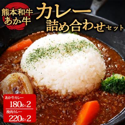 ふるさと納税 阿蘇市 あか牛カレー詰め合わせセット あか牛カレー180g×2あか牛100%挽肉カレー220g×2(阿蘇市)