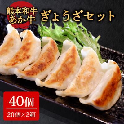 ふるさと納税 阿蘇市 あか牛ぎょうざセット(あか牛餃子20個入り×2箱)(阿蘇市)