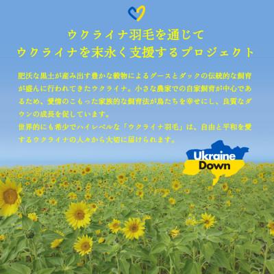 ふるさと納税 富士吉田市 【甲州羽毛2枚合せふとん】手洗いできるウクライナダウン93% ホワイト(クイーン) ふとんカバー付_1