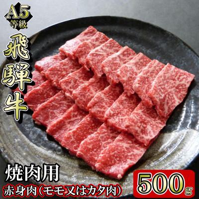 ふるさと納税 岐南町 [A5等級]飛騨牛赤身肉焼肉用500g モモ又はカタ肉