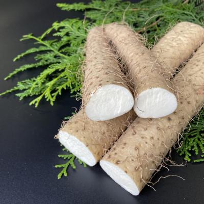 栃木県産自然薯 20kg 真空パック 栃木県産自然薯 20kg 真空パック 2025新物 栃木産自然薯 800g 真空パック