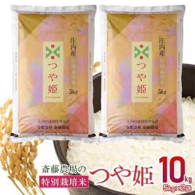 ふるさと納税 鶴岡市 斎藤農場の特別栽培米つや姫 精米10kg(5kg×2)A65-002