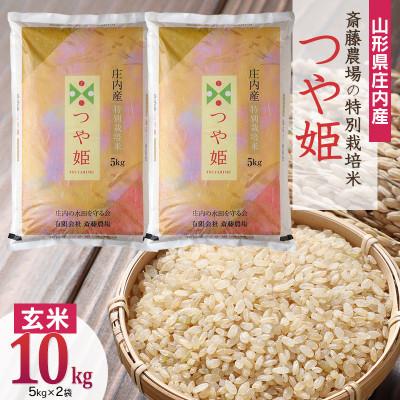 ふるさと納税 鶴岡市 斎藤農場の特別栽培米つや姫 玄米10kg(5kg×2)A55-002