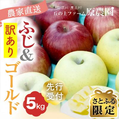 ふるさと納税 豊丘村 [さとふる限定][丘の上ファーム]食べ比べ「サンふじ&amp;シナノゴールド」訳あり5キロ