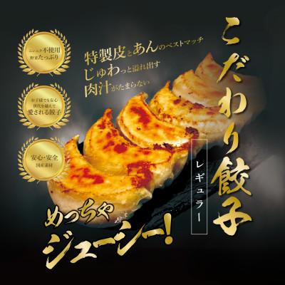 ふるさと納税 十日町市 こだわり餃子レギュラー(冷凍生餃子)