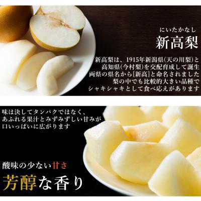 ふるさと納税 南島原市 【2026年発送】新高梨 約5kg 5玉〜13玉 梨専門のマルハチファームから直送_3