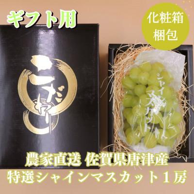 ふるさと納税 唐津市 [化粧箱/ギフト・贈答用]佐賀県唐津市産 特選シャインマスカット 1房 2026年先行受付