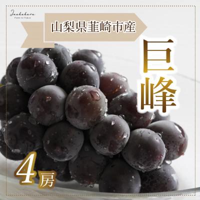 ふるさと納税 韮崎市 [2026年][山梨県韮崎市産]ぶどうInakakara 「巨峰」4房(約1.8kg)