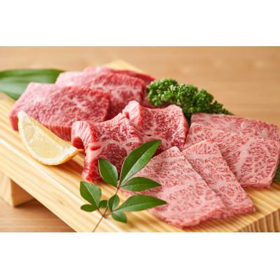 ふるさと納税 山鹿市 国産 黒毛和牛 焼き肉用 食べ比べセット約900g