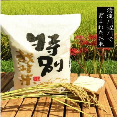 ふるさと納税 相良村 令和5年産 特別栽培米 熊本県相良村産にこまる5kg