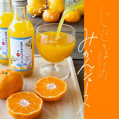 ふるさと納税 有田川町 [スーーっとスッキリ!]辻中農園の無添加ストレートみかんジュース 200ml 4本