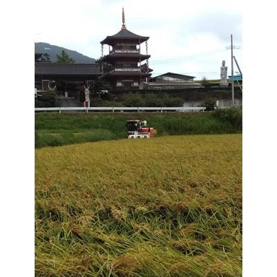 ふるさと納税 石岡市 獅子米 ミルキークイーン 玄米30kg【令和5年産】 