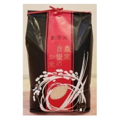 ふるさと納税 石岡市 獅子米 もち米(マンゲツモチ) 精米10kg[令和7年産]