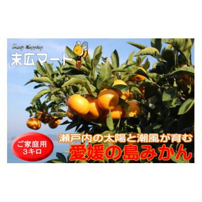 ふるさと納税 松山市 先行受付[ご家庭用]愛媛の島みかん(約3キロ) みかんの本場愛媛から