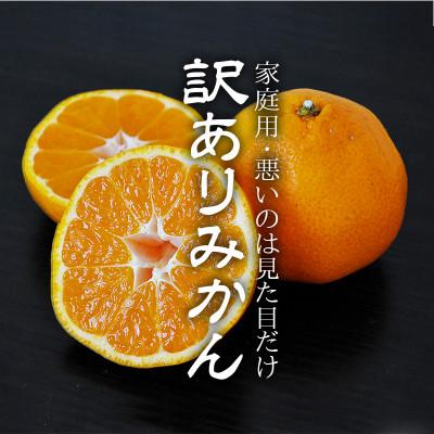 ふるさと納税 八幡浜市 愛媛・八幡浜産「みかん:6kg[訳あり](サイズ:2S.S.M.L.2L)」[C48-41]