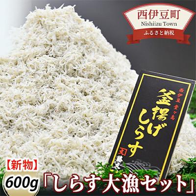 ふるさと納税 西伊豆町 藤文の「しらす大漁セット」