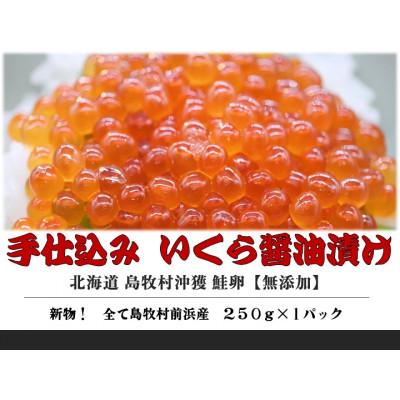 ふるさと納税 島牧村 『手仕込』 いくら醤油漬け 沖獲れ鮭卵 250g×1パック[北海道 島牧村産]