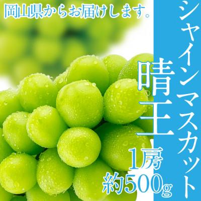 ふるさと納税 総社市 2024年分 先行受付 シャインマスカット晴王 1房