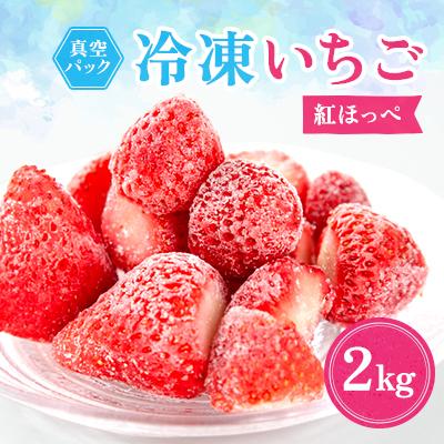 ふるさと納税 磐田市 冷凍イチゴ『紅ほっぺ』2kg