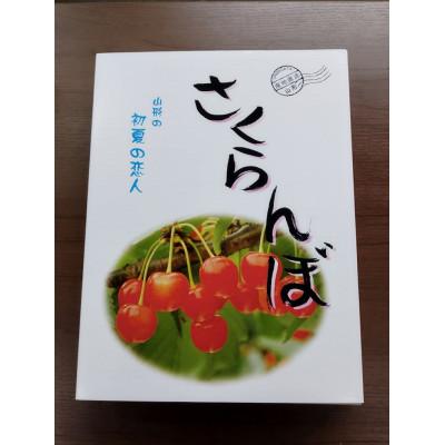 ふるさと納税 中山町 令和6年産先行受付　山形県中山町産さくらんぼ<佐藤錦>秀品　約800g(200g×4P)｜y-sf｜02