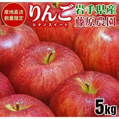 ふるさと納税 盛岡市 藤原農園のりんご『シナノスイート』5kg