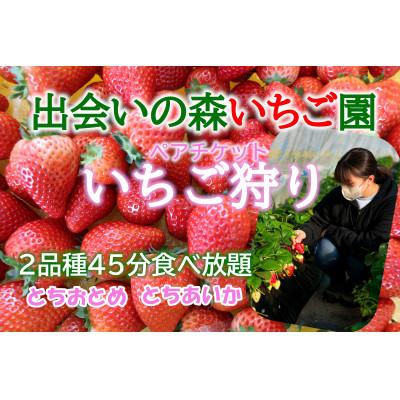 ふるさと納税 鹿沼市 出会いの森いちご園本店 ペアチケット