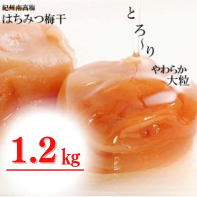 ふるさと納税 みなべ町 はちみつ梅干し1.2kg 紀州南高梅 和歌山県産[ご家庭用訳あり はちみつ梅]