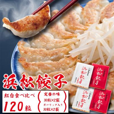 ふるさと納税 浜松市 浜松餃子 120粒 2種味くらべ(定番の味60粒、スライスガーリック入り60粒)総重量2.4kg!