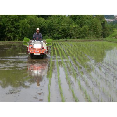 ふるさと納税 相良村 令和5年産　特別栽培米　熊本県相良村産森のくまさん10kg(5kg×2)｜y-sf｜03