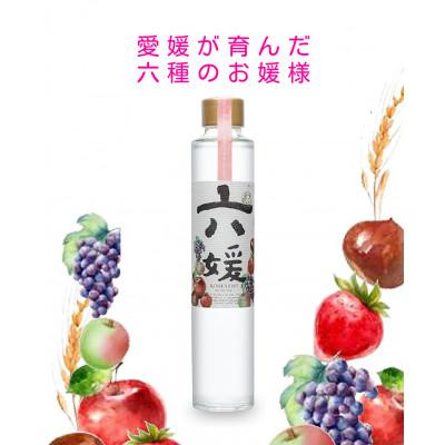ふるさと納税 久万高原町 道後ジン 六媛 200ml