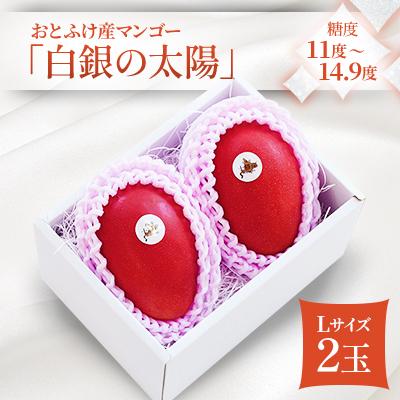 ふるさと納税 音更町 [先行受付]おとふけ産マンゴー「白銀の太陽」 L×2玉[C40]