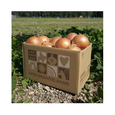 ふるさと納税 訓子府町 UNO ORGANIC FARM 北海道訓子府産 オーガニック玉ねぎ 3kg 【有機JAS認証】の画像