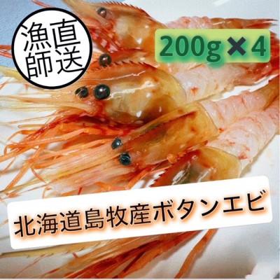 ふるさと納税 島牧村 ぷりぷりボタンエビ 北海道日本海ボタンエビ[200g×4]