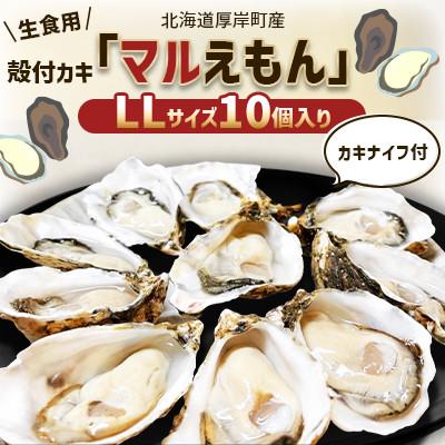 ふるさと納税 厚岸町 北海道厚岸町産 牡蠣 生食用 殻付カキ 「マルえもん」LLサイズ10個