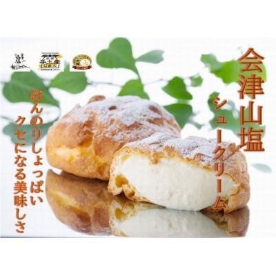 ふるさと納税 会津若松市 会津山塩のシュークリーム 9個入り