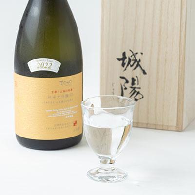 ふるさと納税 城陽市 日本酒「城陽」純米大吟醸30 720ml