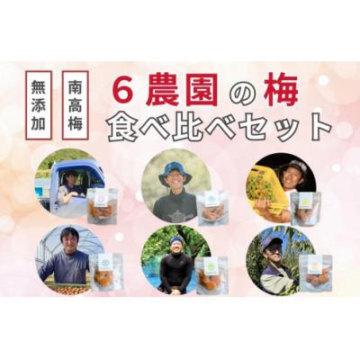 ふるさと納税 みなべ町 [無添加梅干し]6農家さんの梅干し食べ比べセット 梅ボーイズ|南高梅