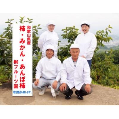 ふるさと納税 橋本市 柿【先行受付】柳フルーツ園 富有柿 約2kg_3