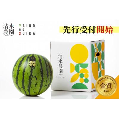 ふるさと納税 南魚沼市 2026年7月下旬から発送予定 野菜ソムリエサミット金賞受賞「清水農園の八色産金色羅皇」