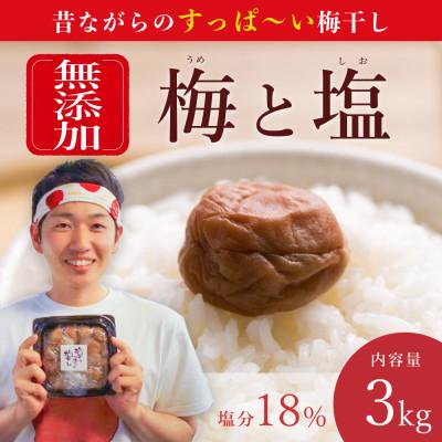 ふるさと納税 みなべ町 [常温保管可能]天日塩だけで漬けた無添加梅干し3kg 梅ボーイズ|南高梅