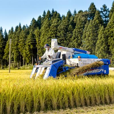 ふるさと納税 十日町市 【農家×女子高生】県認証特栽魚沼コシヒカリ(精米)6kgとかぐらなんばん・ホッポロ漬 各200g_3