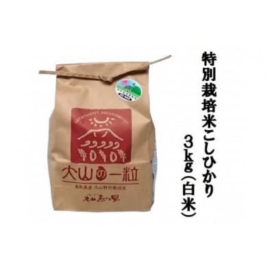 ふるさと納税 大山町 特別栽培米こしひかり3kg(白米)